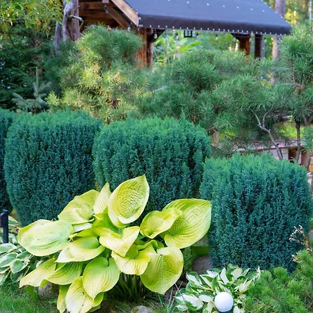 Sloneczny Caloroczny 800m Od Parku Wodnego Suntago Ranczo Gold Mania Holiday home *