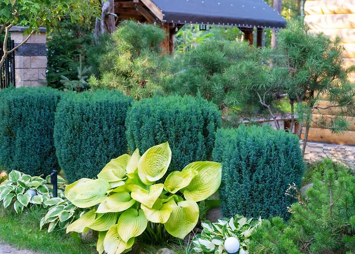 Sloneczny Caloroczny 800m Od Parku Wodnego Suntago Ranczo Gold Mania Hébergement de vacances *